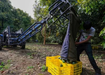 AmSoc destaca estabilidad para México, ante anuncio de Trump