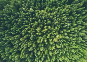 “Proteger nuestro planeta: un compromiso de todos”