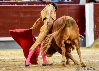 Un Palacio por naturales