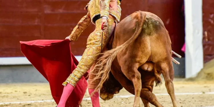 Un Palacio por naturales