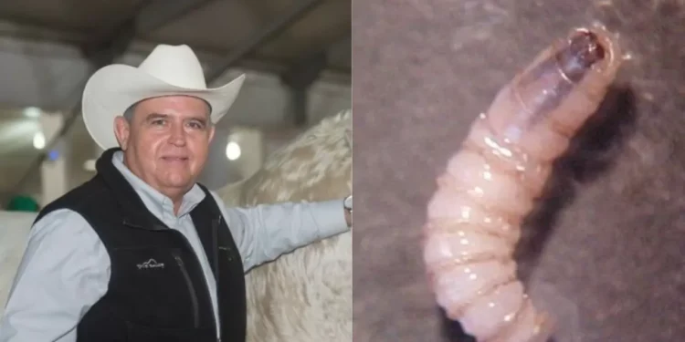 Acuerdan ganaderos medidas para detener crisis de la carne