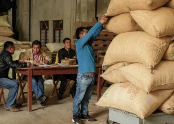 PIB de México crece en el primer trimestre de 2025 un 0.2%