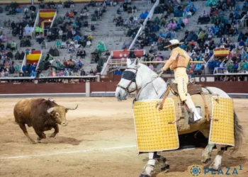 ¡Salve, ‘Brigadier’!