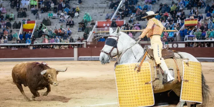 ¡Salve, ‘Brigadier’!