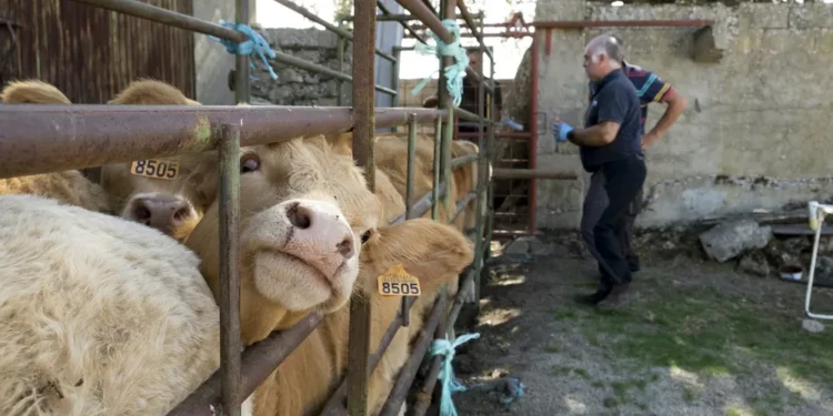 Los veterinarios de CyL apoyan ampliar a seis años el Grado