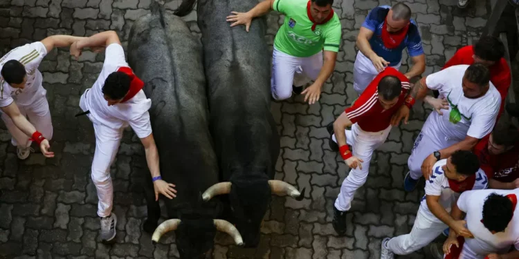 Los toros de José Escolar protagonizan el sexto encierro