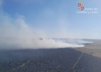 Declarado un fuego de nivel 2 en Paredes de Monte (Palencia)