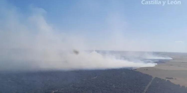 Declarado un fuego de nivel 2 en Paredes de Monte (Palencia)