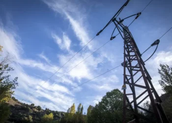 CEOE avisa de la saturación de la alambrada eléctrica y pide fondos
