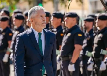 El Gobierno asciende al jefe de la UCO a cargo del ‘contingencia Koldo’